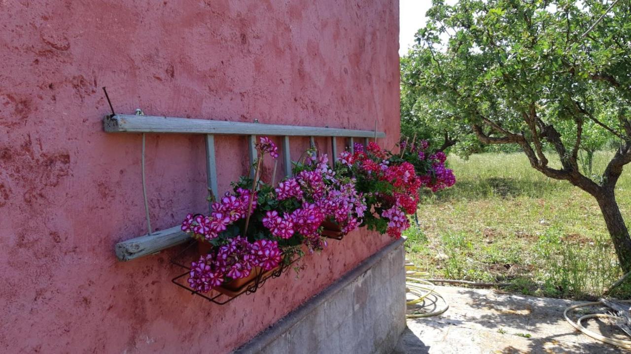 Casa Alle Vigne Polignano a Mare Exterior photo